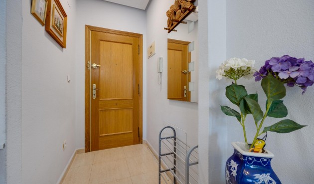 Brukt - Apartment -
Torrevieja - Costa Blanca