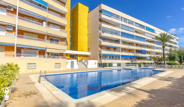 Brukt - Apartment -
Punta Prima - Costa Blanca