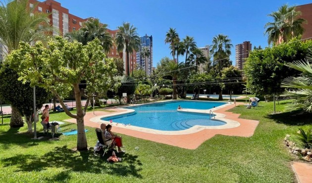 Resale - Apartment -
Benidorm - Nuevos Juzgados