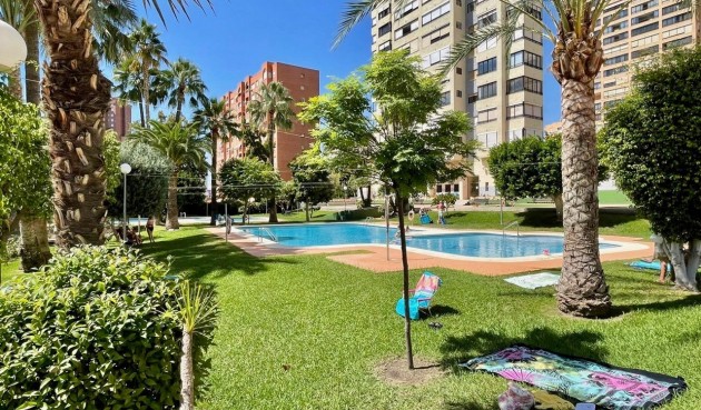 Återförsäljning - Apartment -
Benidorm - Nuevos Juzgados