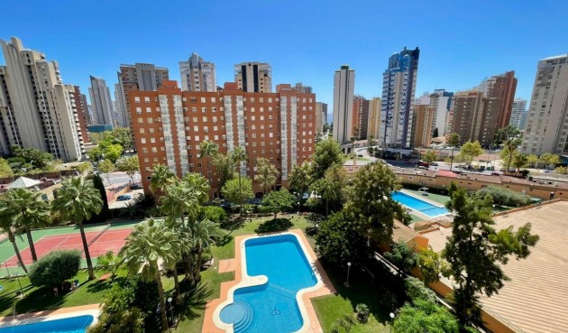 Resale - Apartment -
Benidorm - Nuevos Juzgados