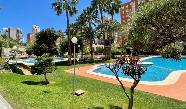 Återförsäljning - Apartment -
Benidorm - Nuevos Juzgados