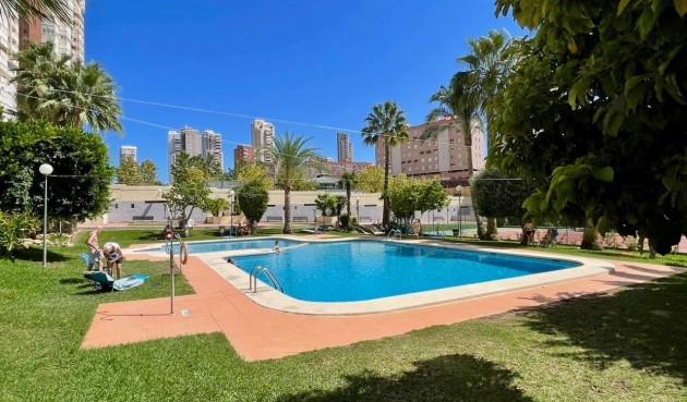 Reventa - Apartment -
Benidorm - Nuevos Juzgados