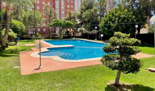 Reventa - Apartment -
Benidorm - Nuevos Juzgados