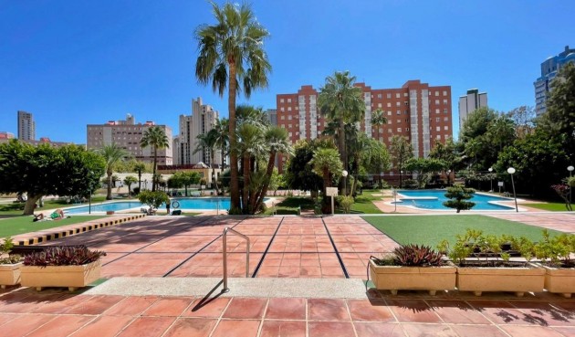 Resale - Apartment -
Benidorm - Nuevos Juzgados