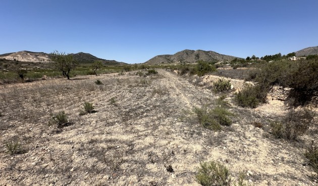 Brukt - Villa -
Hondón de las Nieves - Inland