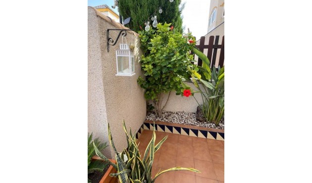 Återförsäljning - Apartment -
Guardamar del Segura - Costa Blanca