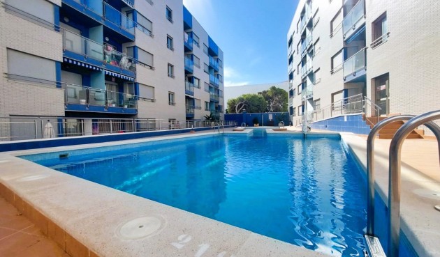 Brukt - Apartment -
Torrevieja - Costa Blanca