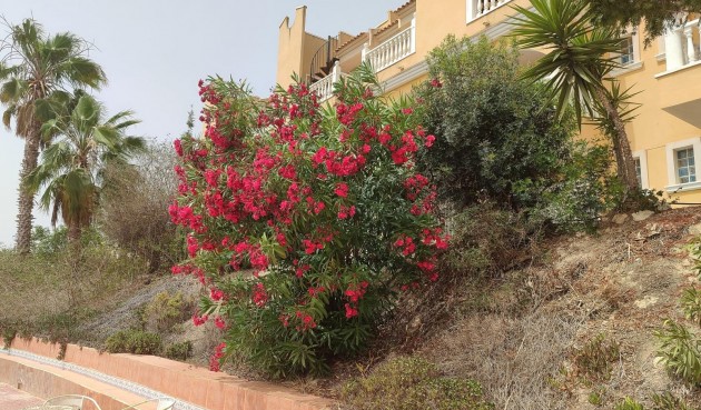 Återförsäljning - Villa -
San Fulgencio - Costa Blanca