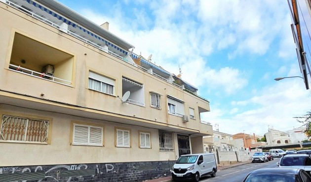 Återförsäljning - Apartment -
Torrevieja - Costa Blanca