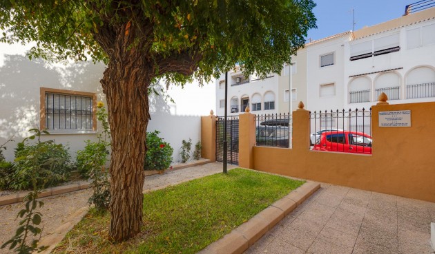 Återförsäljning - Bungalow -
Torrevieja - Costa Blanca