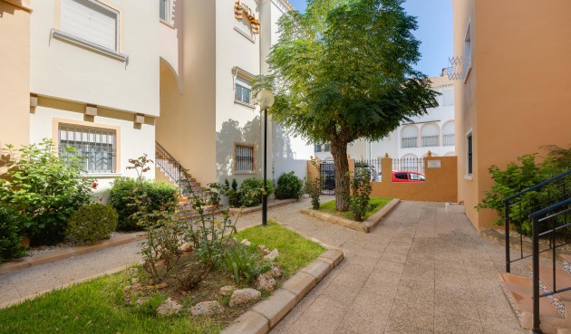 Brukt - Bungalow -
Torrevieja - Costa Blanca