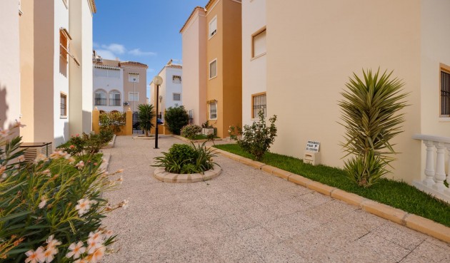 Återförsäljning - Bungalow -
Torrevieja - Costa Blanca