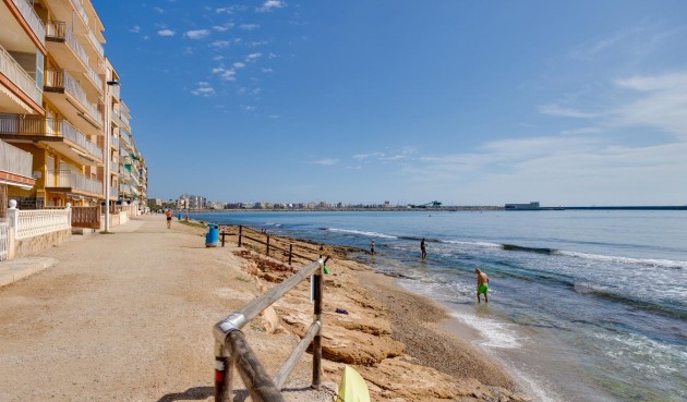 Återförsäljning - Bungalow -
Torrevieja - Costa Blanca