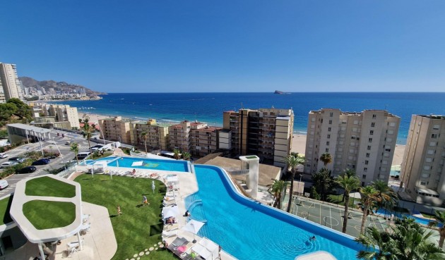 Återförsäljning - Apartment -
Benidorm - Poniente