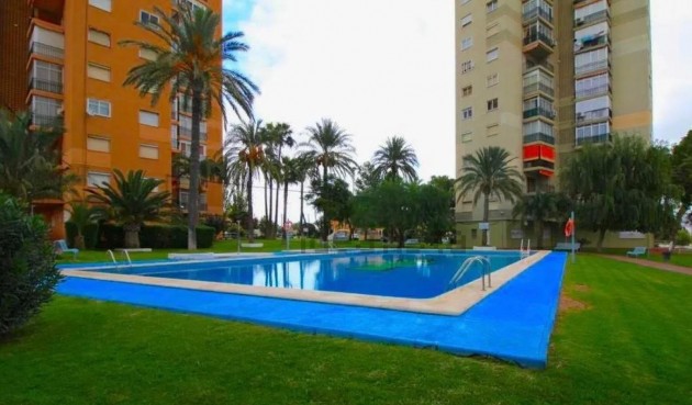 Återförsäljning - Apartment -
Benidorm - Costa Blanca