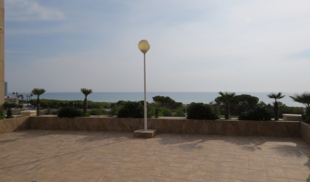 Återförsäljning - Apartment -
Guardamar del Segura - Costa Blanca