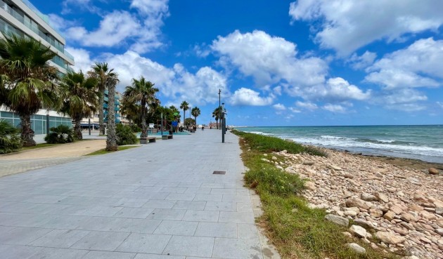 Återförsäljning - Apartment -
Torrevieja - Playa del Cura