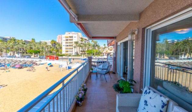 Resale - Apartment -
Torrevieja - Costa Blanca