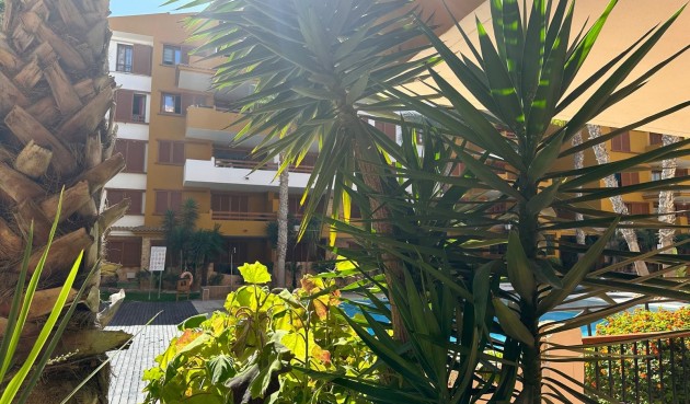 Återförsäljning - Apartment -
Torrevieja - Costa Blanca