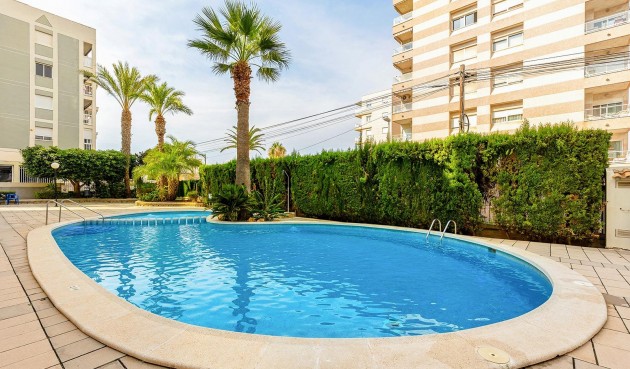 Brukt - Apartment -
Torrevieja - Nueva Torrevieja