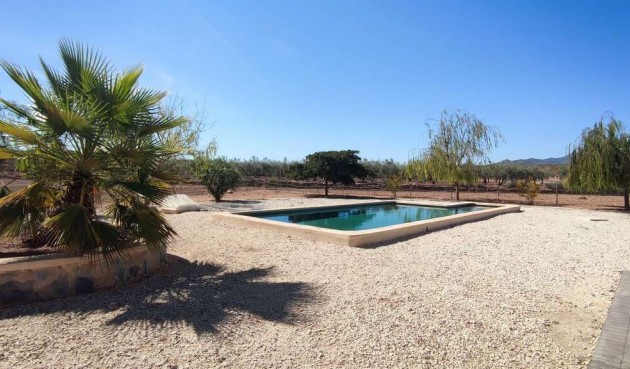 Resale - Villa -
Pinoso - Inland