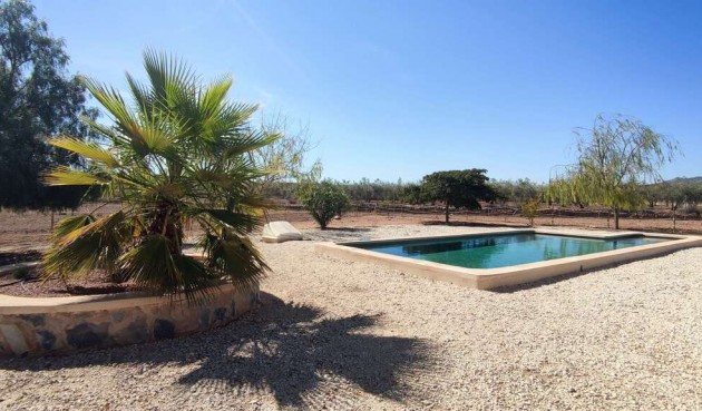 Resale - Villa -
Pinoso - Inland