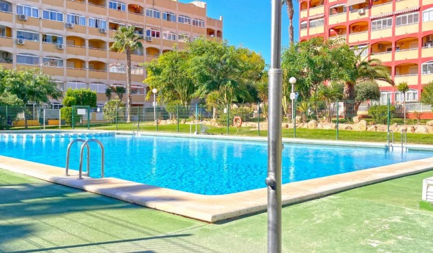 Resale - Apartment -
Torrevieja - Costa Blanca