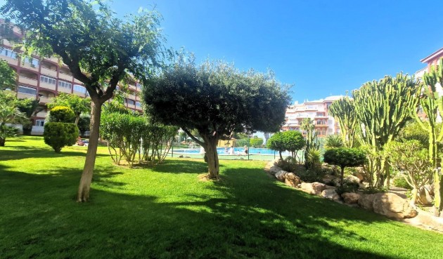 Resale - Apartment -
Torrevieja - Torreblanca