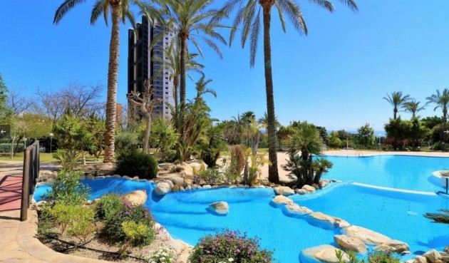 Återförsäljning - Apartment -
Benidorm - Costa Blanca