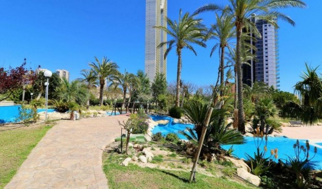 Återförsäljning - Apartment -
Benidorm - Costa Blanca