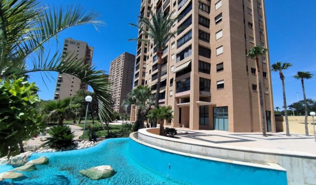 Återförsäljning - Apartment -
Benidorm - Costa Blanca