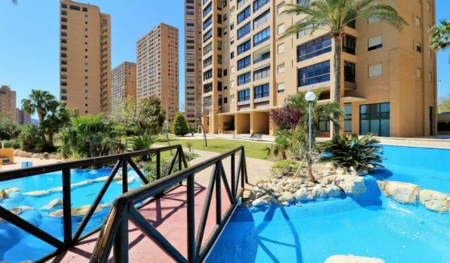 Återförsäljning - Apartment -
Benidorm - Costa Blanca