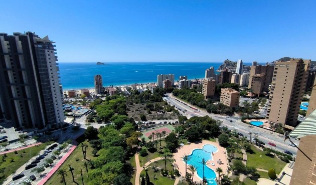 Återförsäljning - Apartment -
Benidorm - Costa Blanca