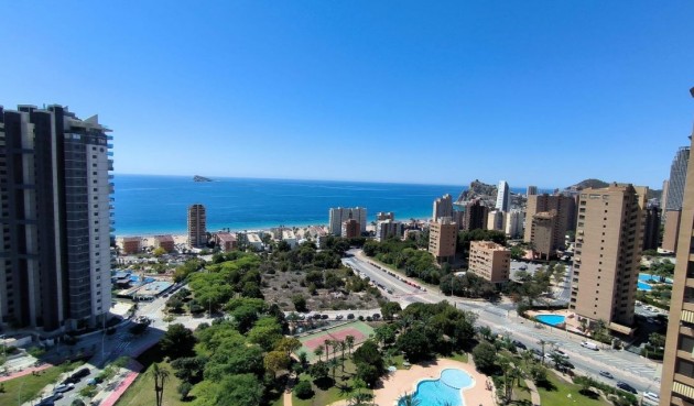 Återförsäljning - Apartment -
Benidorm - Costa Blanca