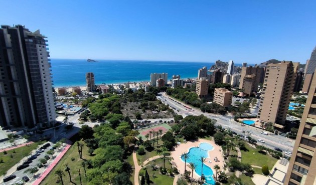 Återförsäljning - Apartment -
Benidorm - Costa Blanca