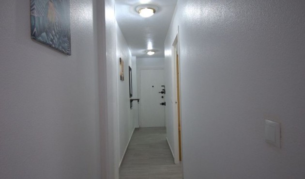 Reventa - Apartment -
Torrevieja - Costa Blanca