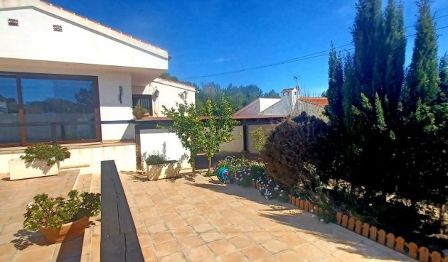 Resale - Villa -
Pilar de la Horadada - Costa Blanca