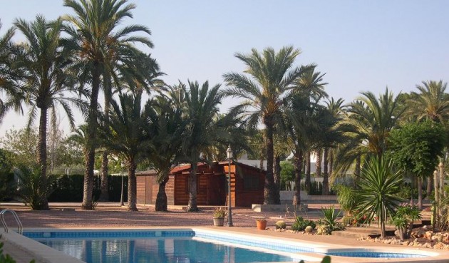 Återförsäljning - Villa -
Elche - Costa Blanca