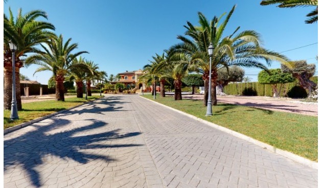 Återförsäljning - Villa -
Elche - Costa Blanca