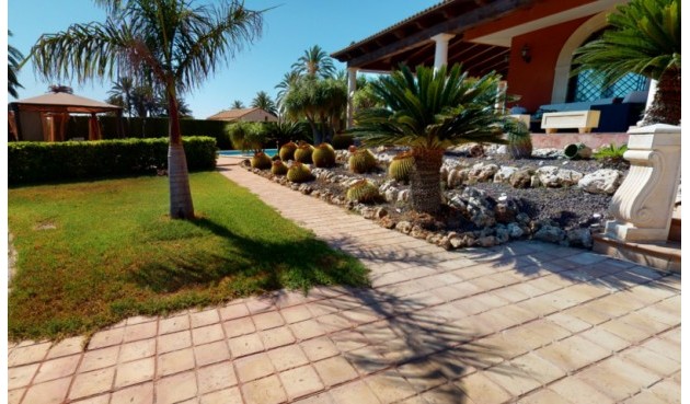 Återförsäljning - Villa -
Elche - Costa Blanca