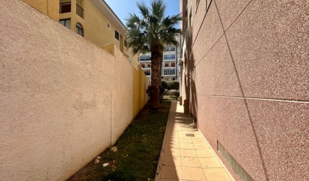 Återförsäljning - Duplex -
Torrevieja - Costa Blanca