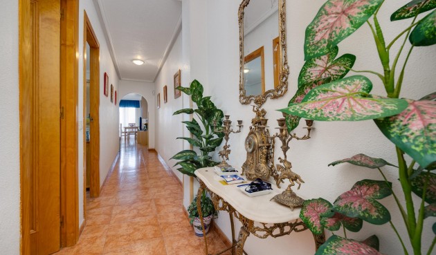 Brukt - Apartment -
Torrevieja - Costa Blanca