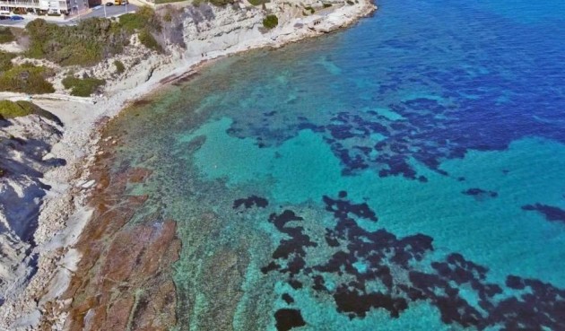 Brukt - Tosidig -
Calpe - Manzanera