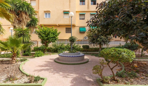 Återförsäljning - Apartment -
Torrevieja - La Mata