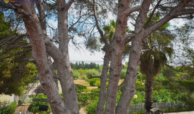 Återförsäljning - Villa -
Torrevieja - Los Balcones