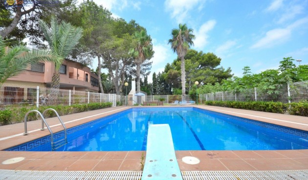 Återförsäljning - Villa -
Torrevieja - Los Balcones