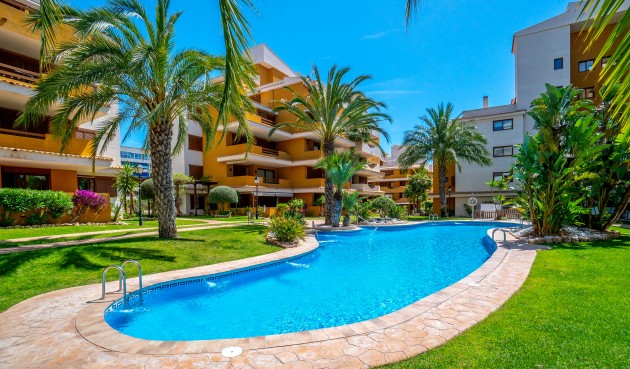 Reventa - Apartment -
Punta Prima - Costa Blanca