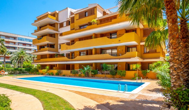 Reventa - Apartment -
Punta Prima - Costa Blanca