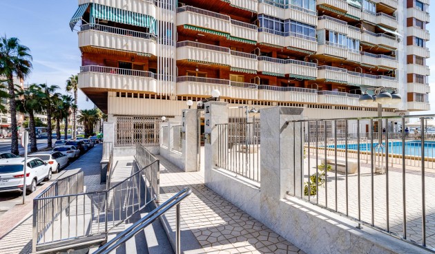 Brukt - Apartment -
Torrevieja - Costa Blanca